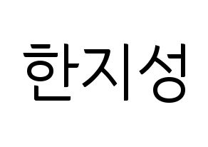 KPOP Stray Kids(스트레이 키즈、ストレイキッズ) 한 (ハン) コンサート用　応援ボード・うちわ　韓国語/ハングル文字型紙 通常