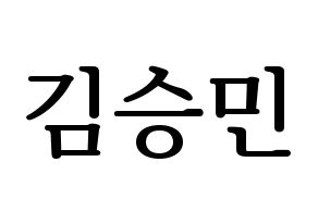 KPOP Stray Kids(스트레이 키즈、ストレイキッズ) 승민 (スンミン) プリント用応援ボード型紙、うちわ型紙　韓国語/ハングル文字型紙 通常