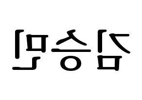 KPOP Stray Kids(스트레이 키즈、ストレイキッズ) 승민 (スンミン) プリント用応援ボード型紙、うちわ型紙　韓国語/ハングル文字型紙 左右反転