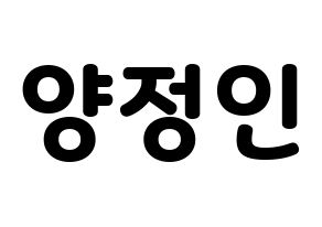 KPOP Stray Kids(스트레이 키즈、ストレイキッズ) 아이엔 (アイエヌ) 応援ボード・うちわ　韓国語/ハングル文字型紙 通常