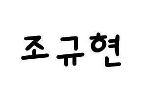 KPOP Super Junior-M(슈퍼주니어-M、スーパージュニア-M) 규현 (キュヒョン) 名前 応援ボード 作り方 通常