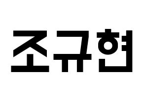 KPOP Super Junior-M(슈퍼주니어-M、スーパージュニア-M) 규현 (キュヒョン) 名前 応援ボード 作り方 通常