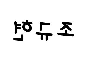 KPOP Super Junior-M(슈퍼주니어-M、スーパージュニア-M) 규현 (キュヒョン) 名前 応援ボード 作り方 左右反転