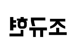 KPOP Super Junior-M(슈퍼주니어-M、スーパージュニア-M) 규현 (キュヒョン) k-pop アイドル名前 ファンサボード 型紙 左右反転