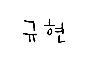 KPOP Super Junior-M(슈퍼주니어-M、スーパージュニア-M) 규현 (チョ・ギュヒョン, キュヒョン) 無料サイン会用、イベント会用応援ボード型紙 通常