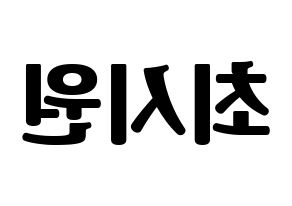 KPOP Super Junior-M(슈퍼주니어-M、スーパージュニア-M) 시원 (シウォン) コンサート用　応援ボード・うちわ　韓国語/ハングル文字型紙 左右反転