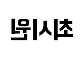 KPOP Super Junior-M(슈퍼주니어-M、スーパージュニア-M) 시원 (シウォン) k-pop アイドル名前 ファンサボード 型紙 左右反転