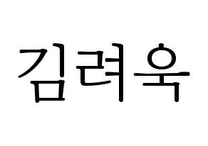 KPOP Super Junior-M(슈퍼주니어-M、スーパージュニア-M) 려욱 (リョウク) 応援ボード・うちわ　韓国語/ハングル文字型紙 通常