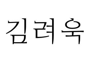 KPOP Super Junior-M(슈퍼주니어-M、スーパージュニア-M) 려욱 (リョウク) 応援ボード・うちわ　韓国語/ハングル文字型紙 通常