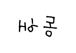 KPOP Super Junior-M(슈퍼주니어-M、スーパージュニア-M) 동해 (ドンヘ) k-pop 応援ボード メッセージ 型紙 左右反転
