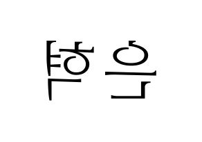KPOP Super Junior-M(슈퍼주니어-M、スーパージュニア-M) 은혁 (ウニョク) 応援ボード・うちわ　韓国語/ハングル文字型紙 左右反転