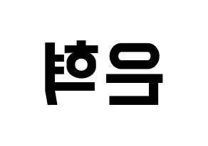 KPOP Super Junior-M(슈퍼주니어-M、スーパージュニア-M) 은혁 (ウニョク) 名前 応援ボード 作り方 左右反転
