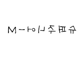 KPOP Super Junior-M(슈퍼주니어-M、スーパージュニア-M) 応援ボード 作り方 左右反転