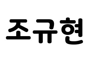 KPOP Super Junior(슈퍼주니어、スーパージュニア) 규현 (キュヒョン) 応援ボード・うちわ　韓国語/ハングル文字型紙 通常