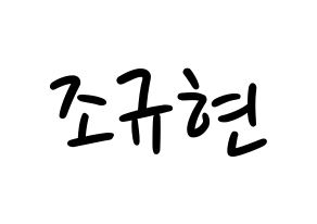 KPOP Super Junior(슈퍼주니어、スーパージュニア) 규현 (キュヒョン) 応援ボード ハングル 型紙  通常