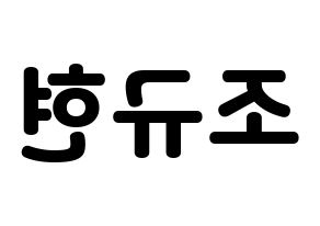 KPOP Super Junior(슈퍼주니어、スーパージュニア) 규현 (キュヒョン) 応援ボード・うちわ　韓国語/ハングル文字型紙 左右反転