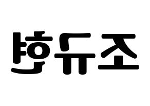 KPOP Super Junior(슈퍼주니어、スーパージュニア) 규현 (キュヒョン) コンサート用　応援ボード・うちわ　韓国語/ハングル文字型紙 左右反転