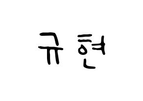 KPOP Super Junior(슈퍼주니어、スーパージュニア) 규현 (キュヒョン) 応援ボード ハングル 型紙  通常
