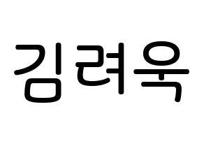 KPOP Super Junior(슈퍼주니어、スーパージュニア) 려욱 (キム・リョウク, リョウク) 無料サイン会用、イベント会用応援ボード型紙 通常