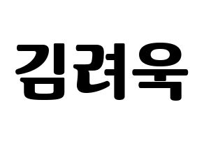 KPOP Super Junior(슈퍼주니어、スーパージュニア) 려욱 (リョウク) コンサート用　応援ボード・うちわ　韓国語/ハングル文字型紙 通常