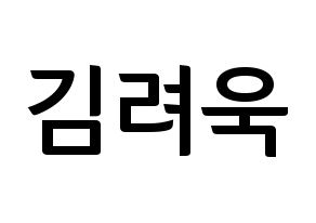 KPOP Super Junior(슈퍼주니어、スーパージュニア) 려욱 (リョウク) k-pop アイドル名前 ファンサボード 型紙 通常