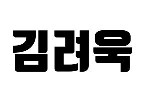 KPOP Super Junior(슈퍼주니어、スーパージュニア) 려욱 (リョウク) コンサート用　応援ボード・うちわ　韓国語/ハングル文字型紙 通常