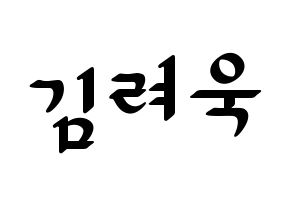 KPOP Super Junior(슈퍼주니어、スーパージュニア) 려욱 (リョウク) 応援ボード ハングル 型紙  通常