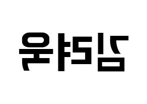 KPOP Super Junior(슈퍼주니어、スーパージュニア) 려욱 (リョウク) k-pop アイドル名前 ファンサボード 型紙 左右反転