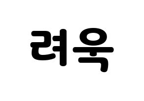 KPOP Super Junior(슈퍼주니어、スーパージュニア) 려욱 (リョウク) 応援ボード・うちわ　韓国語/ハングル文字型紙 通常