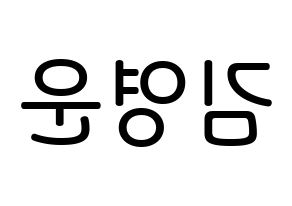 KPOP Super Junior(슈퍼주니어、スーパージュニア) 강인 (キム・ヨンウン, カンイン) 無料サイン会用、イベント会用応援ボード型紙 左右反転