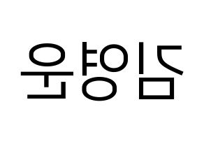 KPOP Super Junior(슈퍼주니어、スーパージュニア) 강인 (カンイン) プリント用応援ボード型紙、うちわ型紙　韓国語/ハングル文字型紙 左右反転