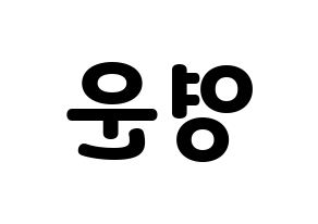 KPOP Super Junior(슈퍼주니어、スーパージュニア) 강인 (カンイン) 応援ボード・うちわ　韓国語/ハングル文字型紙 左右反転