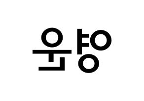 KPOP Super Junior(슈퍼주니어、スーパージュニア) 강인 (キム・ヨンウン, カンイン) 無料サイン会用、イベント会用応援ボード型紙 左右反転