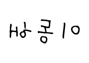 KPOP Super Junior(슈퍼주니어、スーパージュニア) 동해 (ドンヘ) k-pop 応援ボード メッセージ 型紙 左右反転