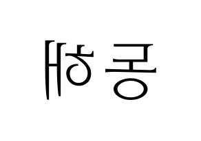 KPOP Super Junior(슈퍼주니어、スーパージュニア) 동해 (ドンヘ) 応援ボード・うちわ　韓国語/ハングル文字型紙 左右反転