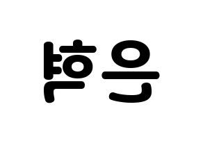 KPOP Super Junior(슈퍼주니어、スーパージュニア) 은혁 (ウニョク) 応援ボード・うちわ　韓国語/ハングル文字型紙 左右反転