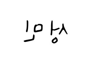 KPOP Super Junior(슈퍼주니어、スーパージュニア) 성민 (ソンミン) 応援ボード ハングル 型紙  左右反転