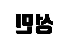 KPOP Super Junior(슈퍼주니어、スーパージュニア) 성민 (ソンミン) コンサート用　応援ボード・うちわ　韓国語/ハングル文字型紙 左右反転