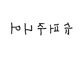 KPOP Super Junior(슈퍼주니어、スーパージュニア) k-pop ファンサ ボード 型紙 左右反転