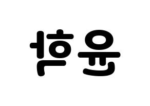 KPOP Supernova(초신성、超新星) 윤학 (ユナク) 応援ボード・うちわ　韓国語/ハングル文字型紙 左右反転