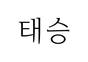 KPOP TEEN TEEN(틴틴、ティーンティーン) 이태승 (イ・テスン) 応援ボード・うちわ　韓国語/ハングル文字型紙 通常