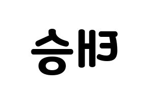 KPOP TEEN TEEN(틴틴、ティーンティーン) 이태승 (イ・テスン) 応援ボード・うちわ　韓国語/ハングル文字型紙 左右反転