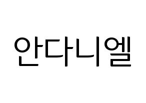 KPOP TEEN TOP(틴탑、ティーントップ) 니엘 (ニエル) コンサート用　応援ボード・うちわ　韓国語/ハングル文字型紙 通常