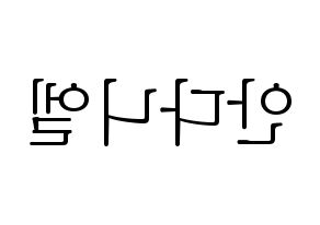 KPOP TEEN TOP(틴탑、ティーントップ) 니엘 (ニエル) 応援ボード・うちわ　韓国語/ハングル文字型紙 左右反転