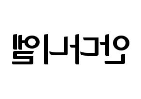 KPOP TEEN TOP(틴탑、ティーントップ) 니엘 (ニエル) k-pop アイドル名前 ファンサボード 型紙 左右反転