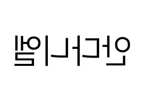 KPOP TEEN TOP(틴탑、ティーントップ) 니엘 (ニエル) プリント用応援ボード型紙、うちわ型紙　韓国語/ハングル文字型紙 左右反転