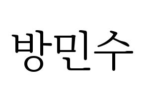 KPOP TEEN TOP(틴탑、ティーントップ) 캡 (キャップ) 応援ボード・うちわ　韓国語/ハングル文字型紙 通常