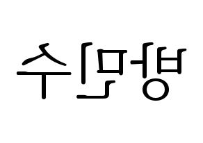 KPOP TEEN TOP(틴탑、ティーントップ) 캡 (キャップ) 応援ボード・うちわ　韓国語/ハングル文字型紙 左右反転