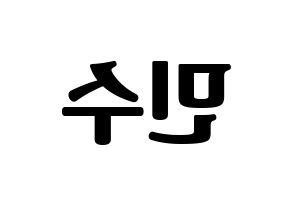KPOP TEEN TOP(틴탑、ティーントップ) 캡 (キャップ) コンサート用　応援ボード・うちわ　韓国語/ハングル文字型紙 左右反転