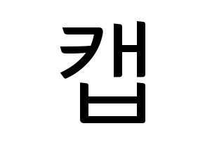 KPOP TEEN TOP(틴탑、ティーントップ) 캡 (キャップ) コンサート用　応援ボード・うちわ　韓国語/ハングル文字型紙 通常